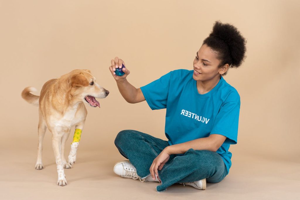 Training Methods That Work For Your Dog