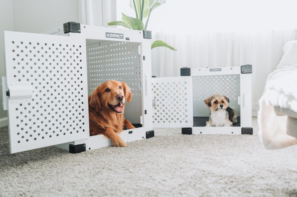 Selling a House with Pets