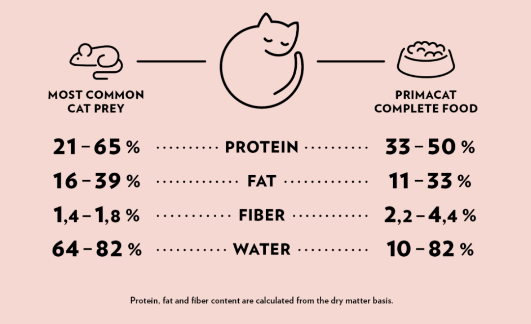 cat food