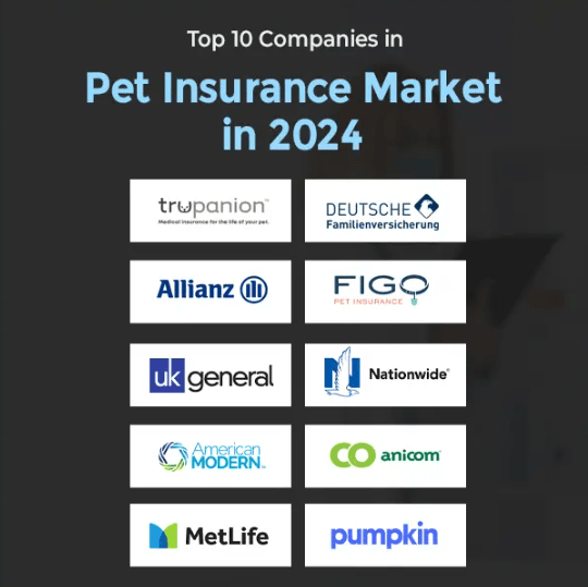 The Best Pet Insurance Companies in More Detail