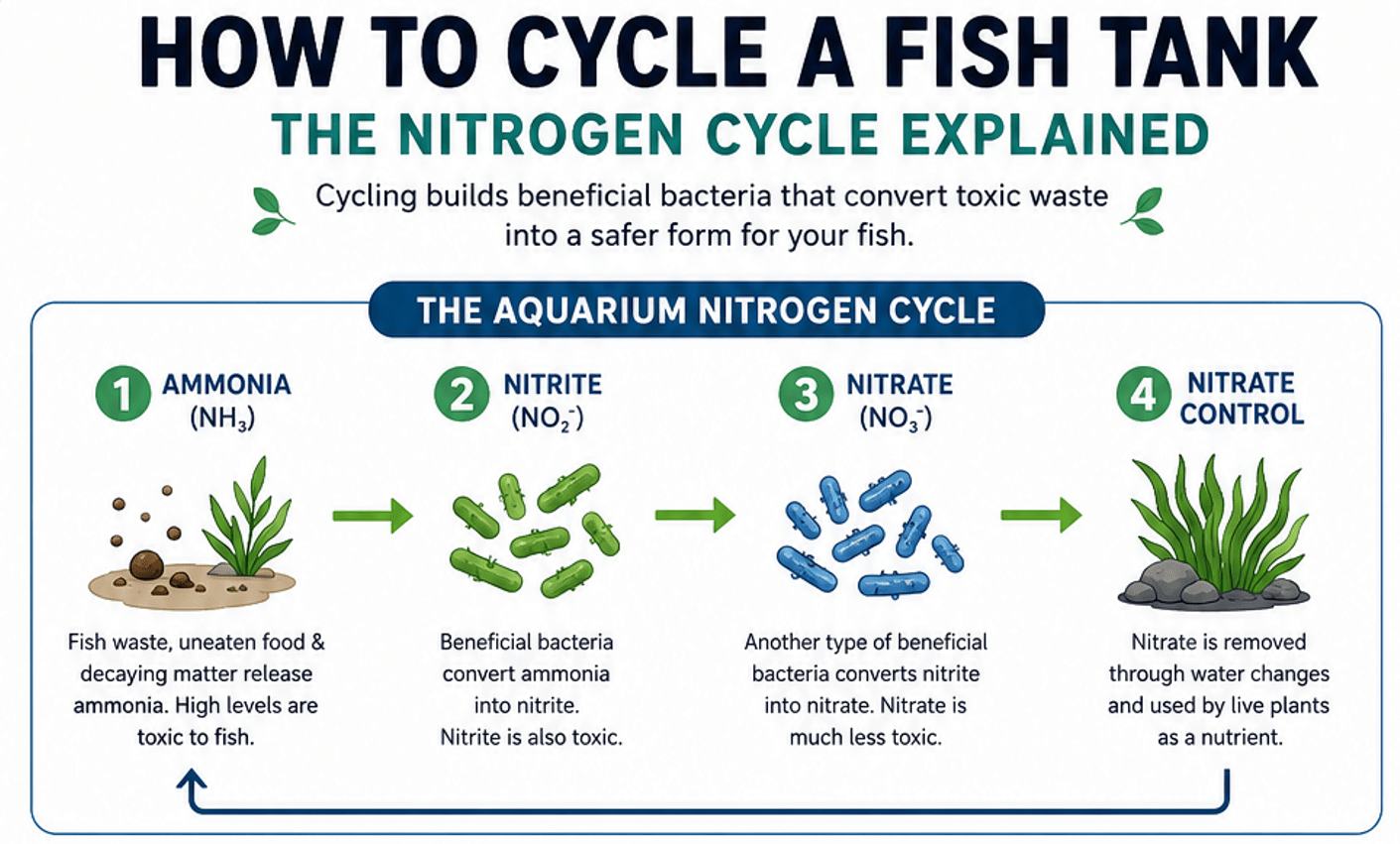 cycle fish tank