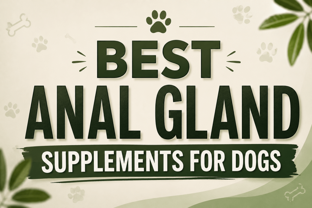 Best Anal Gland Supplements for Dogs: What They Do, How They Work, and What to Look For